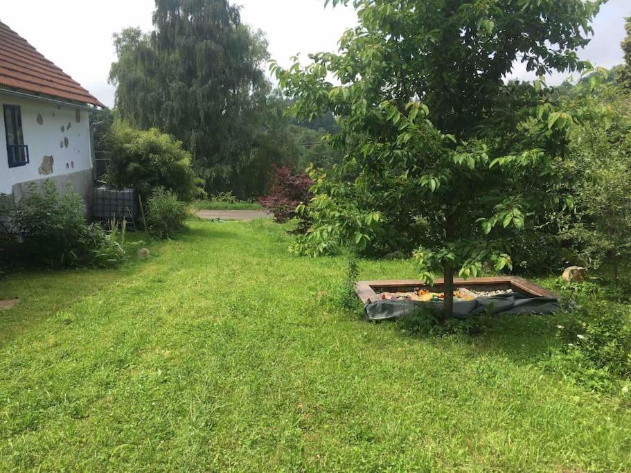 127 Let Stara Chalupa Se Spanim Na Peci A Finskou Saunou Jistebnice Esterno foto
