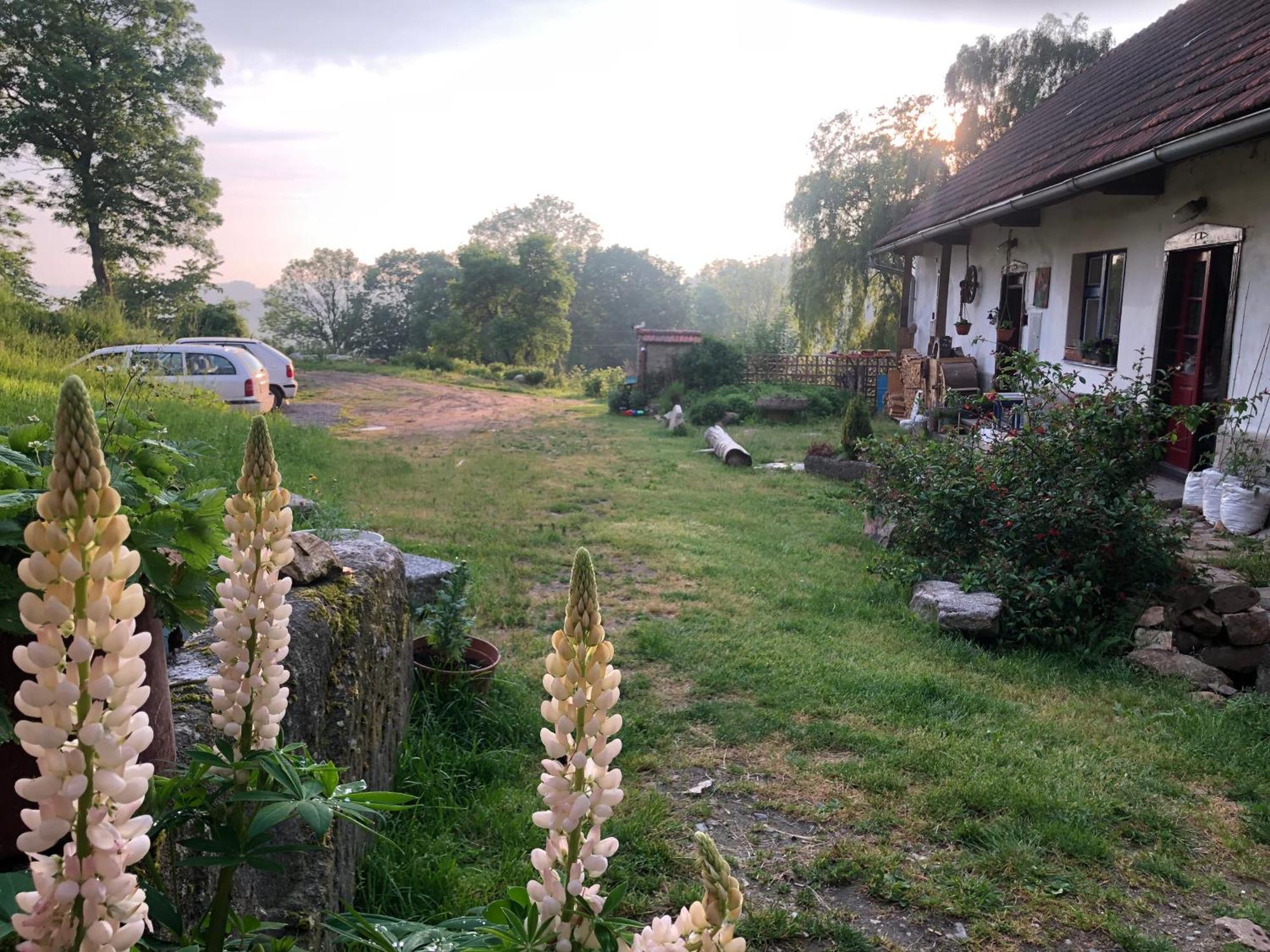 127 Let Stara Chalupa Se Spanim Na Peci A Finskou Saunou Jistebnice Esterno foto